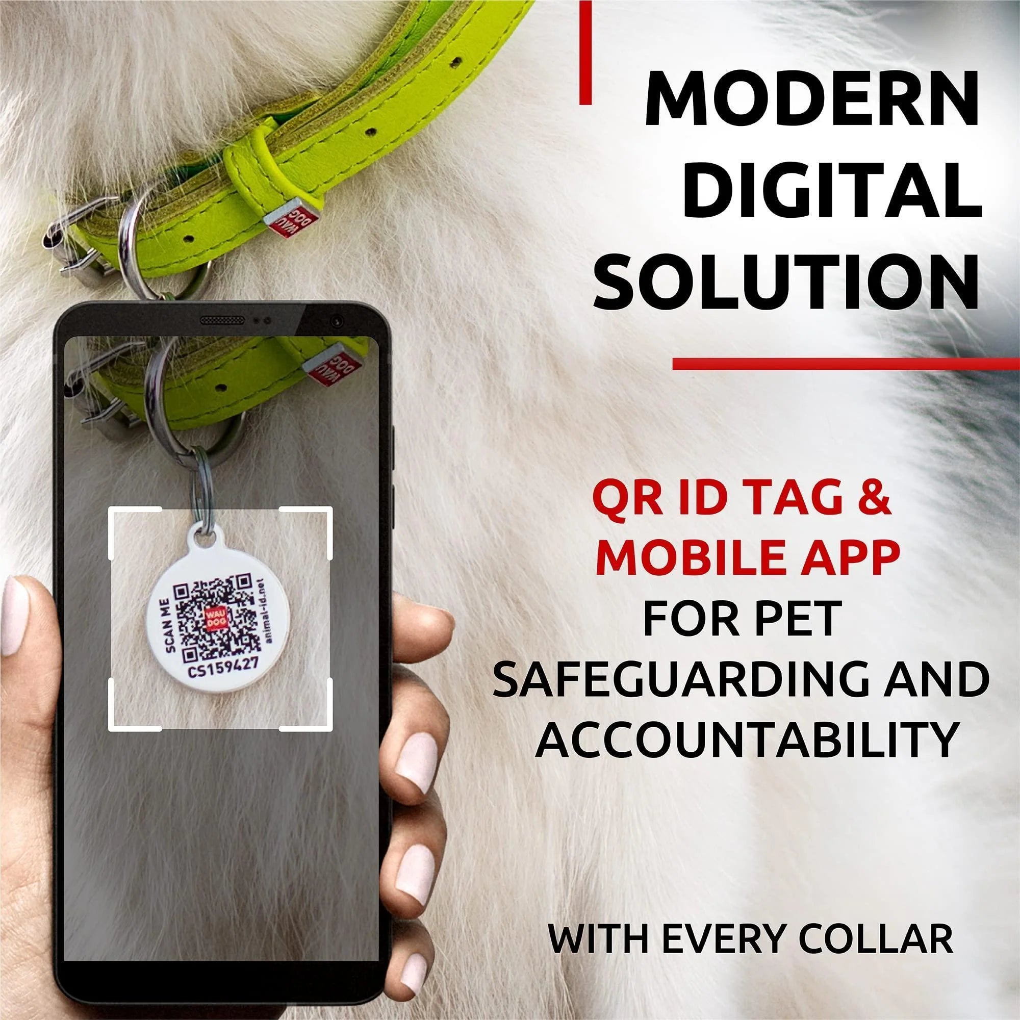 Ultra Soft Rolled Leather Dog Collar for Small Dogs Soft Padded Dog Collars for Medium Dogs Puppy Collars for Large Breed Dogs Male and Female Dog Collar