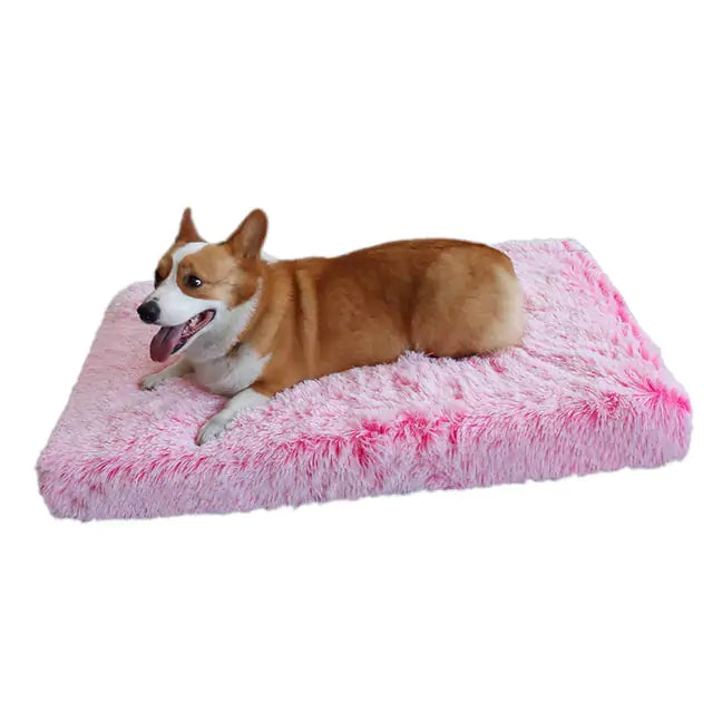Plush Washable Dog Bed for Comfort
