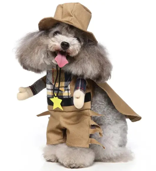 European and American Pet Clothing