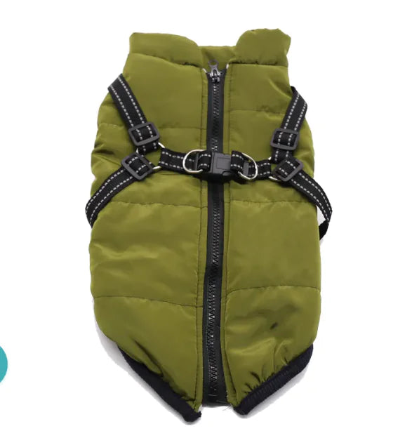 Winter Dog Cotton Coat, made from soft and warm cotton