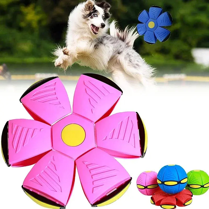Burn Up Some of The Energy with a Flying UFO Dog Toy