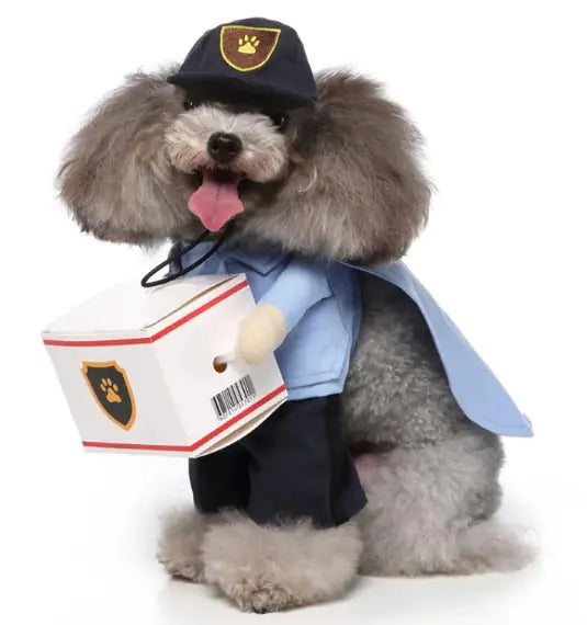 European and American Pet Clothing